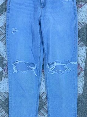 American Eagle Outfitters Strigid Curvy Mom Jean